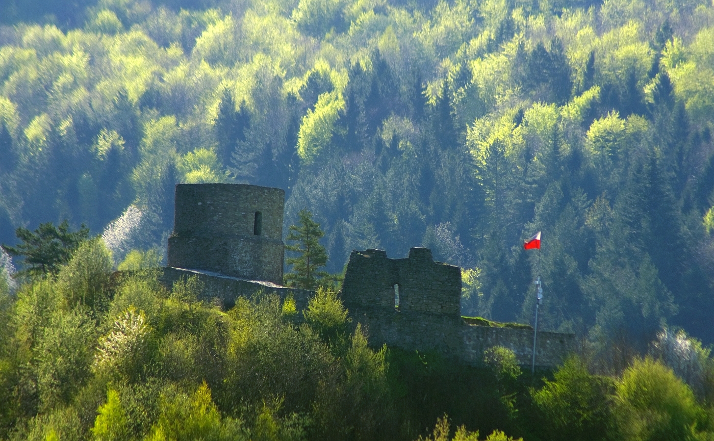Ruiny zamku1