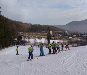 Grupa półkolonijnych 